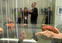  Палеонтологическая выставка ТРИЛОБИТЫ в г. Боровичи